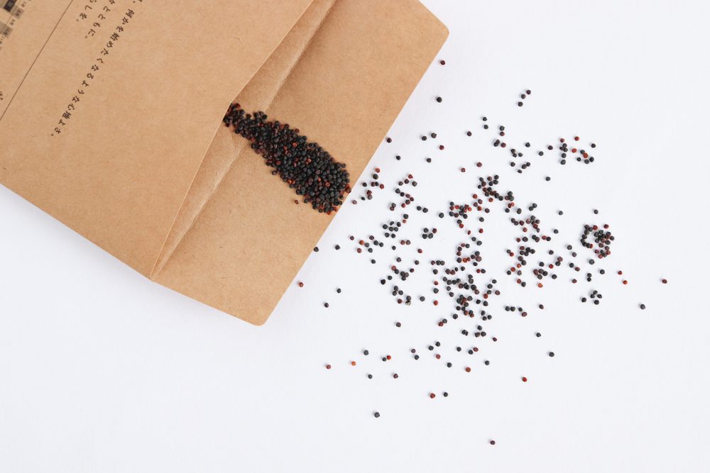 楽園の森ひととのやヴィレッジ