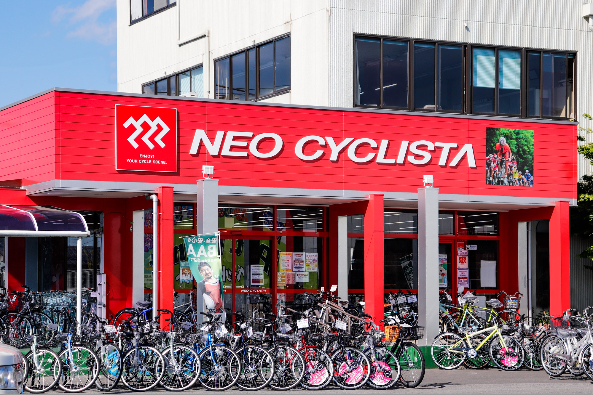 NEO CYCLISTA