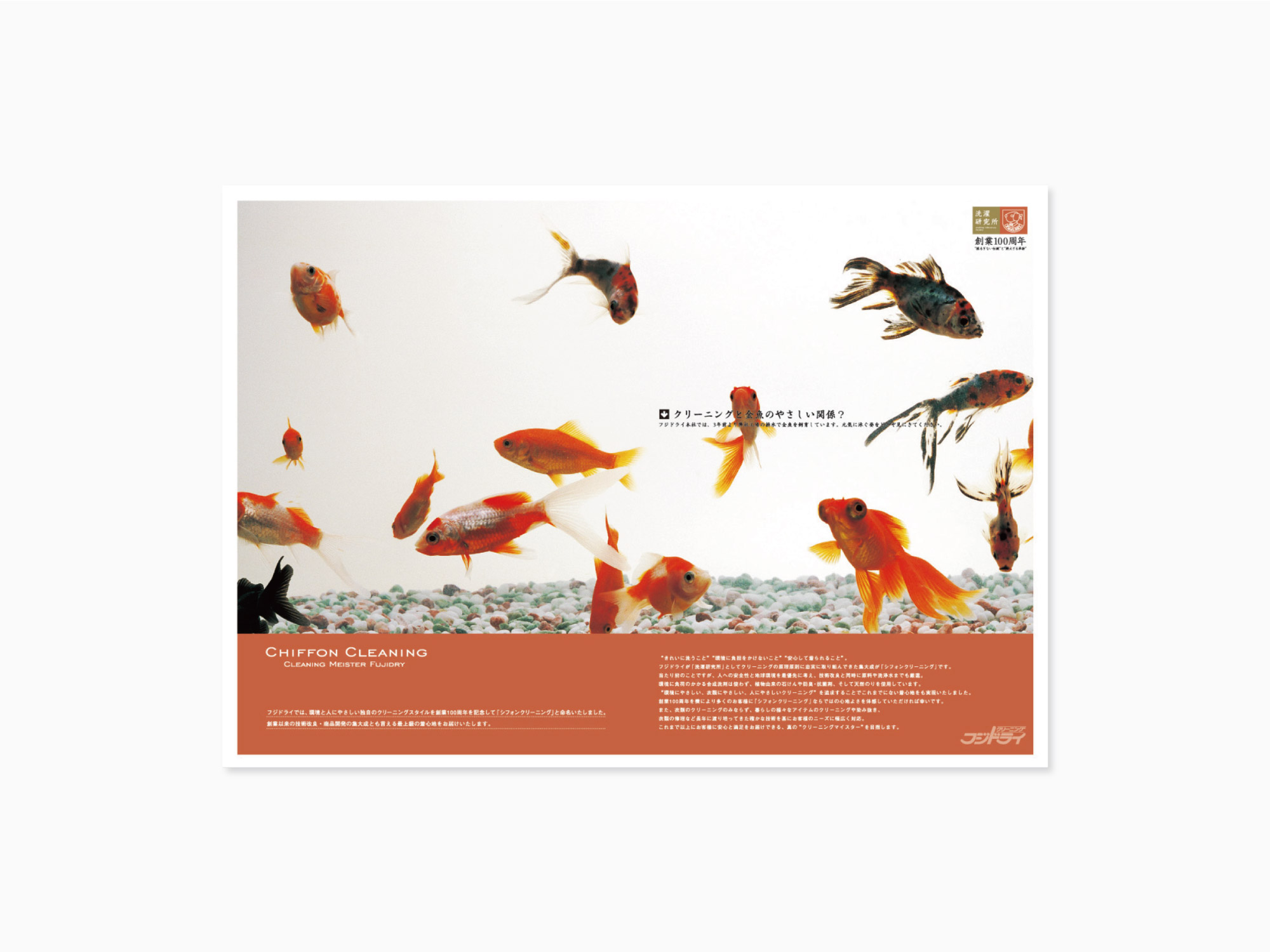 フジドライ 洗濯研究所