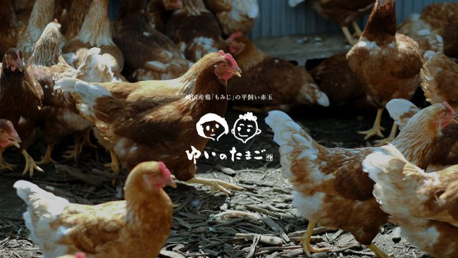 yuino tamago brand site