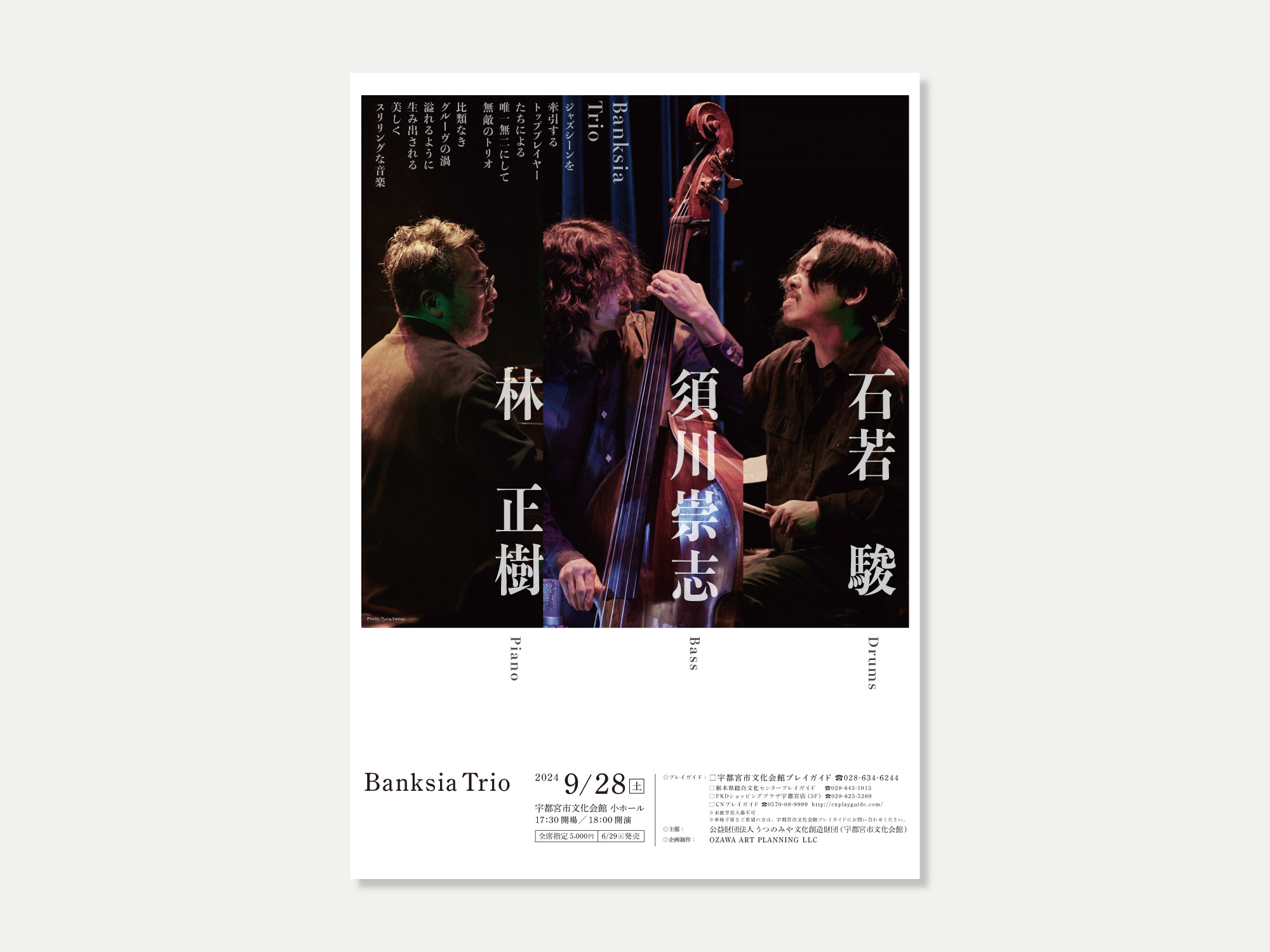 241227_banksia_poster